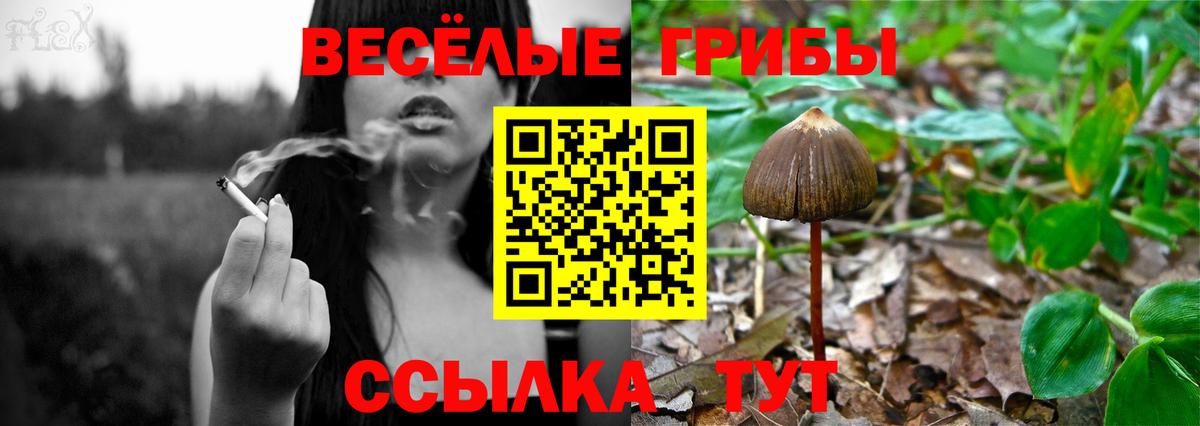 Минеральные Воды  Галлюциногенные грибы Magic Shrooms  Вход с VPN  Псилоцибиновые грибы Cubensis 